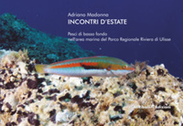 Incontri d'estate: pesci di basso fondo nell'area marina del Parco Regionale Riviera di Ulisse - Librerie.coop Incontri d'estate: pesci di basso fondo nell'area marina del Parco Regionale Riviera di Ulisse - Librerie.coop