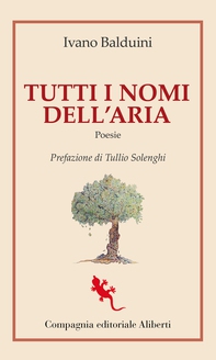 Tutti i nomi dell'aria - Librerie.coop