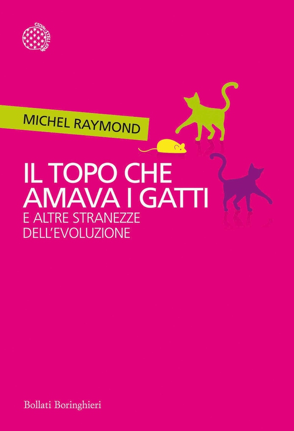 Il topo che amava i gatti - Librerie.coop Il topo che amava i gatti - Librerie.coop