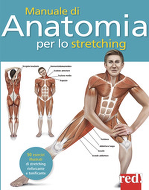 Manuale di anatomia per lo stretching. 50 esercizi illustrati di stretching, rinforzante e tonificante - Librerie.coop Manuale di anatomia per lo stretching. 50 esercizi illustrati di stretching, rinforzante e tonificante - Librerie.coop