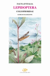 Lepidoptera. Coleophoridae - Librerie.coop