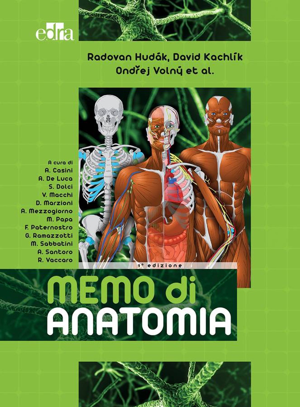 Memo di Anatomia - Librerie.coop Memo di Anatomia - Librerie.coop