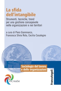 La sfida dell'intangibile. Strumenti, tecniche, tend per una gestione consapevole nelle organizzazioni e nei territori - Librerie.coop La sfida dell'intangibile. Strumenti, tecniche, tend per una gestione consapevole nelle organizzazioni e nei territori - Librerie.coop
