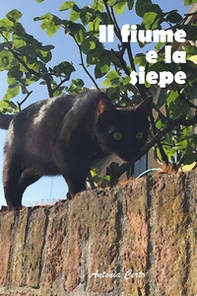 Il iume e la siepe - Librerie.coop