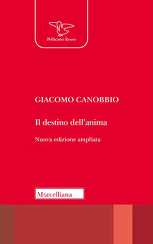 Il destino dell'anima. Elementi per una teologia - Librerie.coop Il destino dell'anima. Elementi per una teologia - Librerie.coop