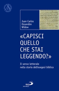 «Capisci quello che stai leggendo?». Il senso letterale nella storia dell'esegesi biblica - Librerie.coop «Capisci quello che stai leggendo?». Il senso letterale nella storia dell'esegesi biblica - Librerie.coop