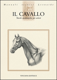 Il cavallo. Tavole anatomiche per artisti - Librerie.coop