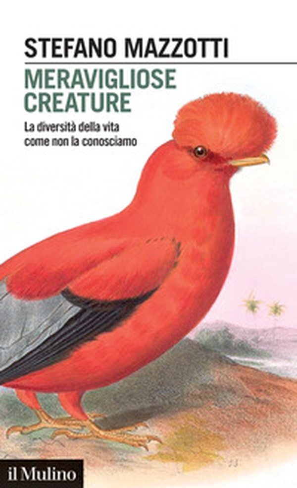 Meravigliose creature. La diversità della vita come non la conosciamo - Librerie.coop Meravigliose creature. La diversità della vita come non la conosciamo - Librerie.coop