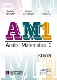 AM1 Analisi Matematica 1. Esercizi - Librerie.coop