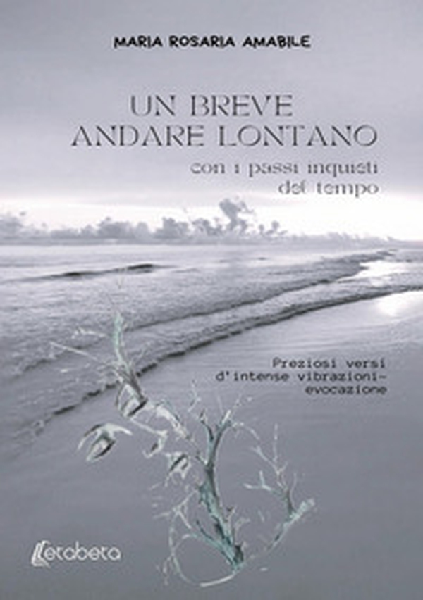 Un breve andare lontano. Con i passi inquieti del tempo - Librerie.coop