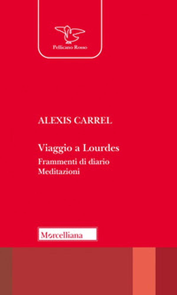 Viaggio a Lourdes. Frammenti di diario. Meditazioni - Librerie.coop Viaggio a Lourdes. Frammenti di diario. Meditazioni - Librerie.coop