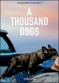 A Thousand Dogs - Librerie.coop