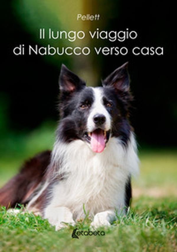 Il lungo viaggio di Nabucco verso casa - Librerie.coop