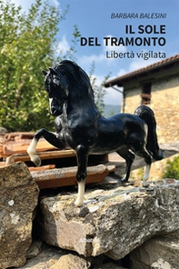 Il sole del tramonto - Librerie.coop