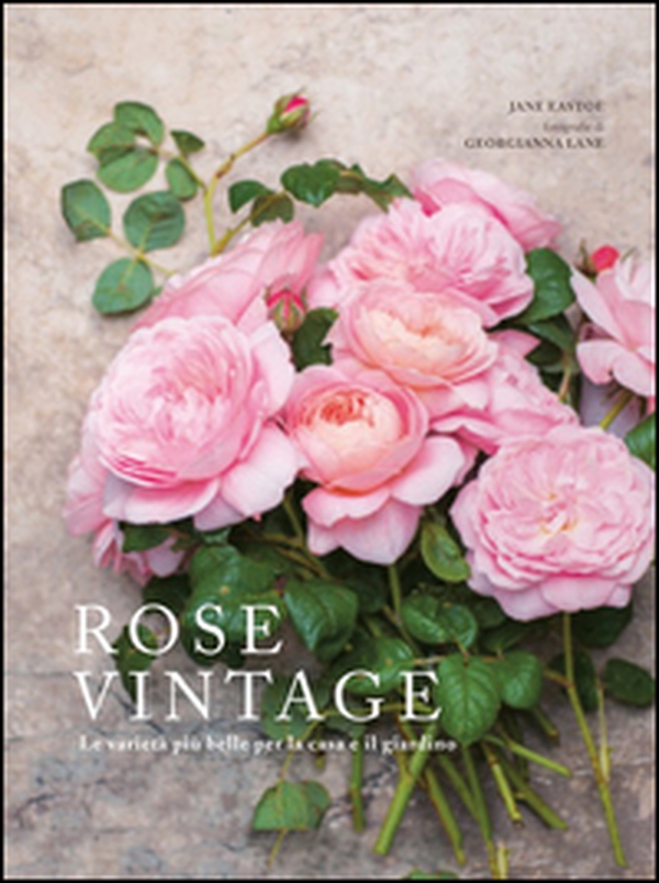 Rose vintage. Le varietà più belle per la casa e il giardino - Librerie.coop Rose vintage. Le varietà più belle per la casa e il giardino - Librerie.coop