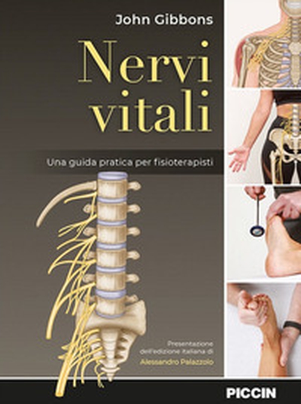 Nervi vitali. Una guida pratica per fisioterapisti - Librerie.coop Nervi vitali. Una guida pratica per fisioterapisti - Librerie.coop