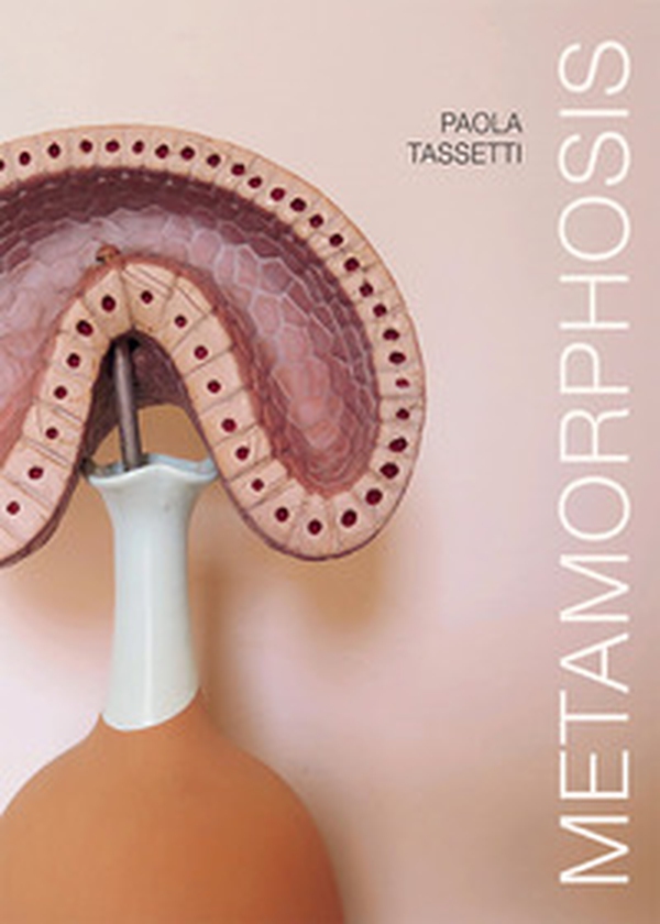 Paola Tassetti. Metamorphosis. Ediz. italiana e inglese - Librerie.coop Paola Tassetti. Metamorphosis. Ediz. italiana e inglese - Librerie.coop