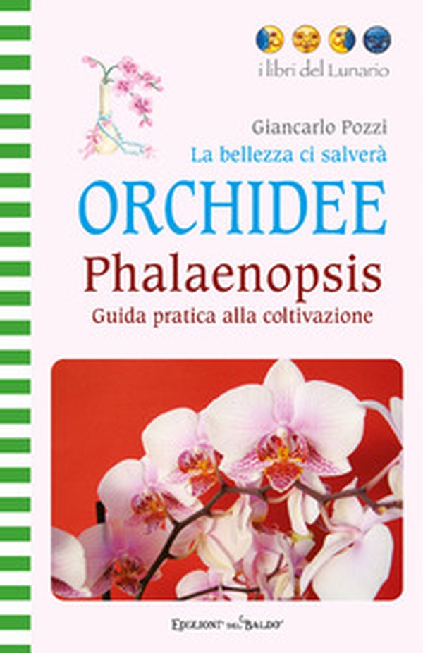 La bellezza ci salverà. Orchidee. Phalaenopsis - Librerie.coop