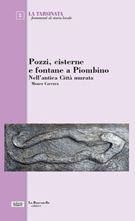 Pozzi, cisterne e fontane a Piombino. Nell'antica città murata - Librerie.coop