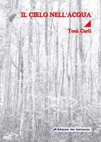 Il cielo nell'acqua - Librerie.coop Il cielo nell'acqua - Librerie.coop