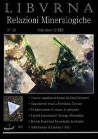 Relazioni mineralogiche. Libvrna - Vol. 10 - Librerie.coop