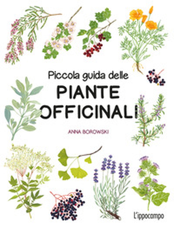 Piccola guida delle piante officinali - Librerie.coop