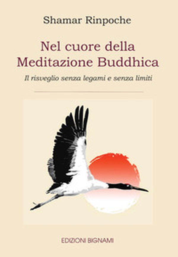 Nel cuore della meditazione buddhica. Il risveglio senza legami e senza limiti - Librerie.coop