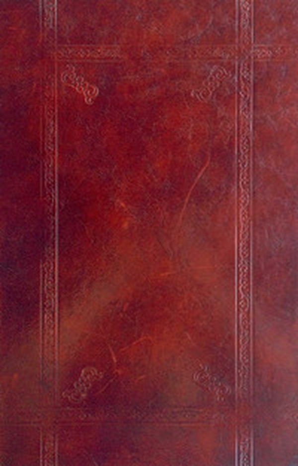 La Divina Commedia marciana - Librerie.coop La Divina Commedia marciana - Librerie.coop