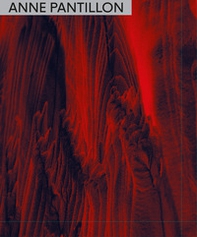 Anne Pantillon. Ediz. italiana e inglese - Librerie.coop
