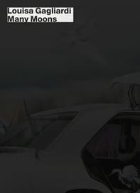 Louisa Gagliardi. Many moons. Catalogo della mostra (Lugano, 15 febbraio-20 luglio 2025). Ediz. italiana e inglese - Librerie.coop
