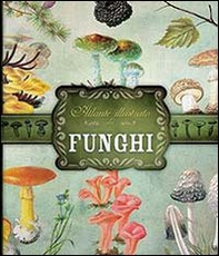 Atlante illustrato dei funghi - Librerie.coop