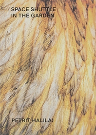 Petrit Halilaj. Space shuttle in the garden. Ediz. italiana e inglese - Librerie.coop