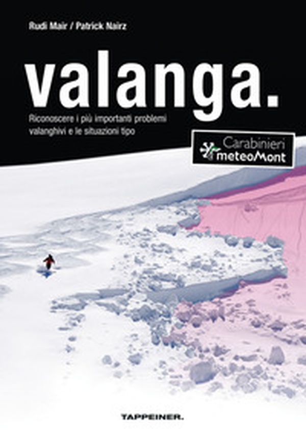 Valanga. Riconoscere le 10 più importanti situazioni tipo di pericolo valanghe - Librerie.coop Valanga. Riconoscere le 10 più importanti situazioni tipo di pericolo valanghe - Librerie.coop