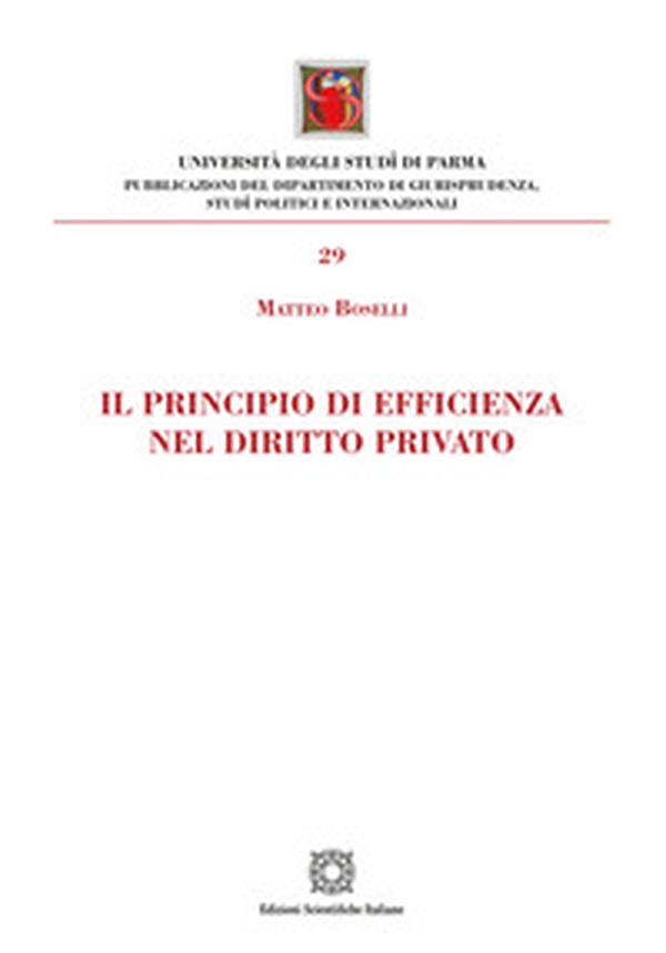 Il principio di efficienza nel diritto privato - Librerie.coop