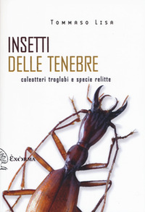Insetti delle tenebre. Coleotteri troglobi e specie relitte - Librerie.coop Insetti delle tenebre. Coleotteri troglobi e specie relitte - Librerie.coop