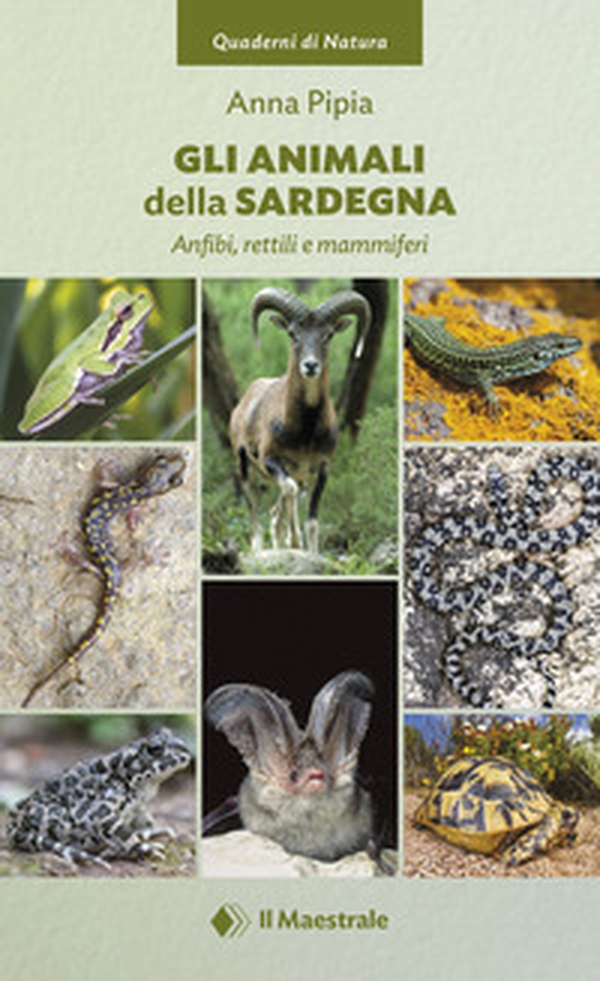 Gli animali della Sardegna - Librerie.coop Gli animali della Sardegna - Librerie.coop