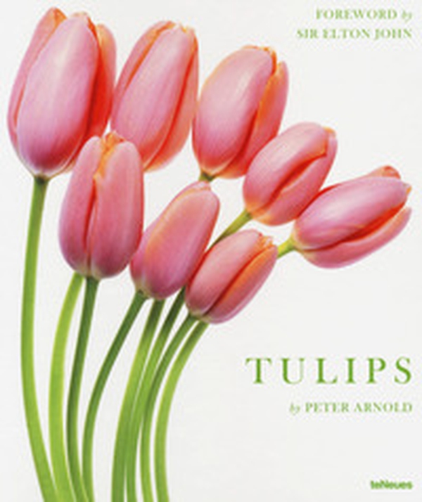 Tulips - Librerie.coop Tulips - Librerie.coop