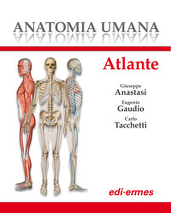 Anatomia umana. Atlante - Librerie.coop Anatomia umana. Atlante - Librerie.coop