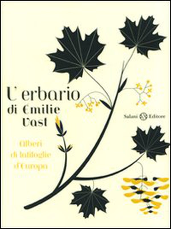 L'erbario. Alberi di latifoglie d'Europa - Librerie.coop L'erbario. Alberi di latifoglie d'Europa - Librerie.coop