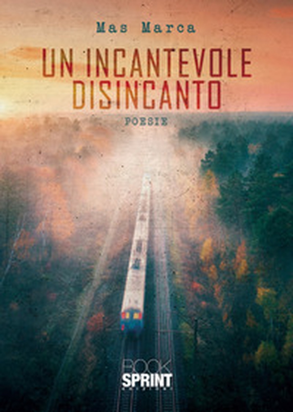 Un incantevole disincanto - Librerie.coop Un incantevole disincanto - Librerie.coop