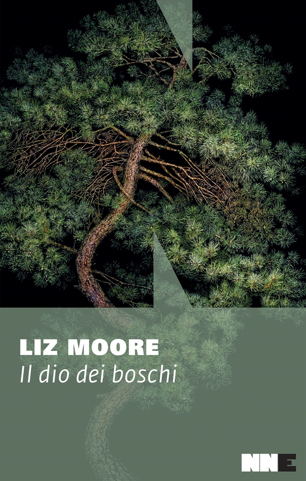 Il dio dei boschi - Librerie.coop Il dio dei boschi - Librerie.coop