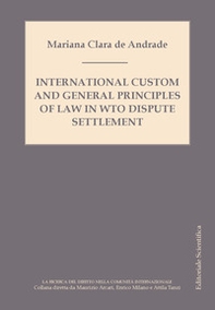 International custom and general principles of law in WTO disputes settlement - Librerie.coop