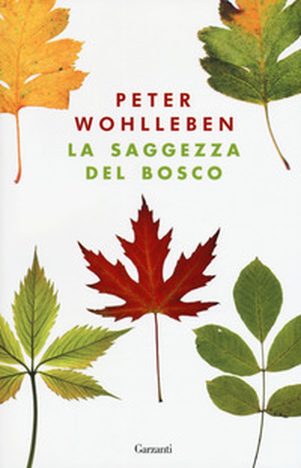 La saggezza del bosco - Librerie.coop La saggezza del bosco - Librerie.coop