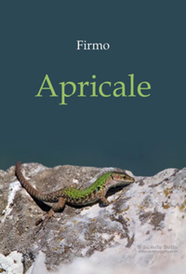 Apricale - Librerie.coop