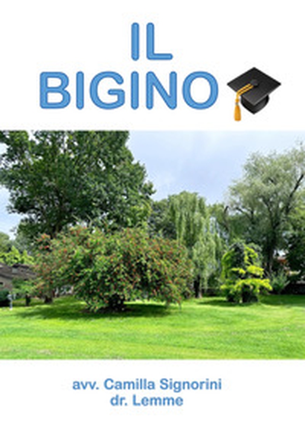 Il bigino - Librerie.coop Il bigino - Librerie.coop