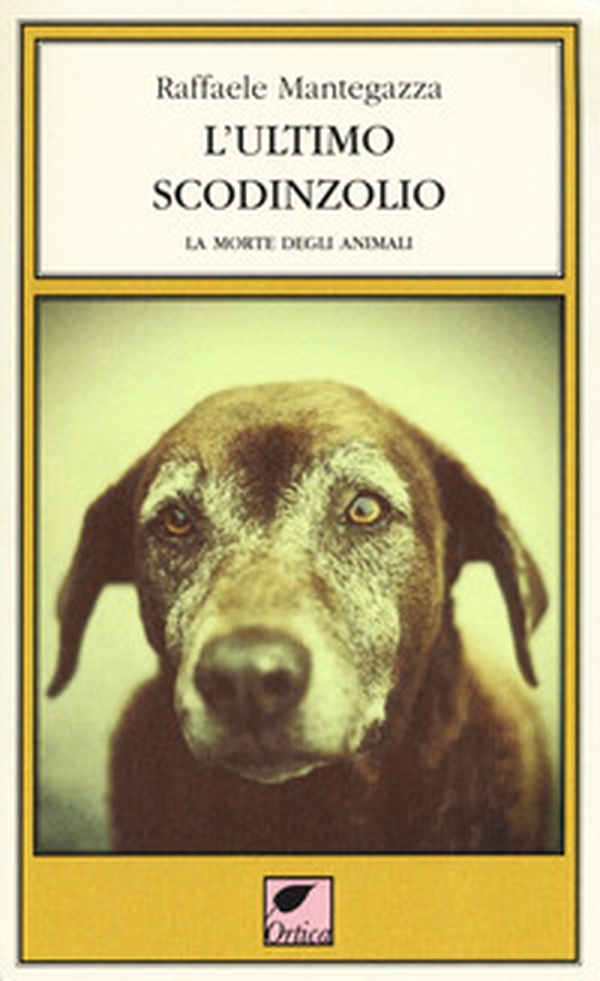 L'ultimo scodinzolio. La morte degli animali - Librerie.coop L'ultimo scodinzolio. La morte degli animali - Librerie.coop