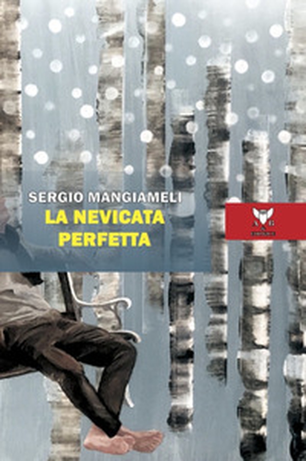 La nevicata perfetta - Librerie.coop La nevicata perfetta - Librerie.coop