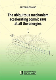 The ubiquitous mechanism accelerating cosmic rays at all the energies - Librerie.coop The ubiquitous mechanism accelerating cosmic rays at all the energies - Librerie.coop