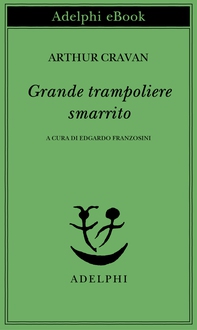 Grande trampoliere smarrito - Librerie.coop