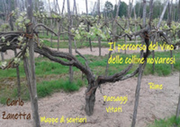 Il percorso del vino delle colline novaresi. Rime, paesaggi vitati, mappe di sentieri - Librerie.coop Il percorso del vino delle colline novaresi. Rime, paesaggi vitati, mappe di sentieri - Librerie.coop